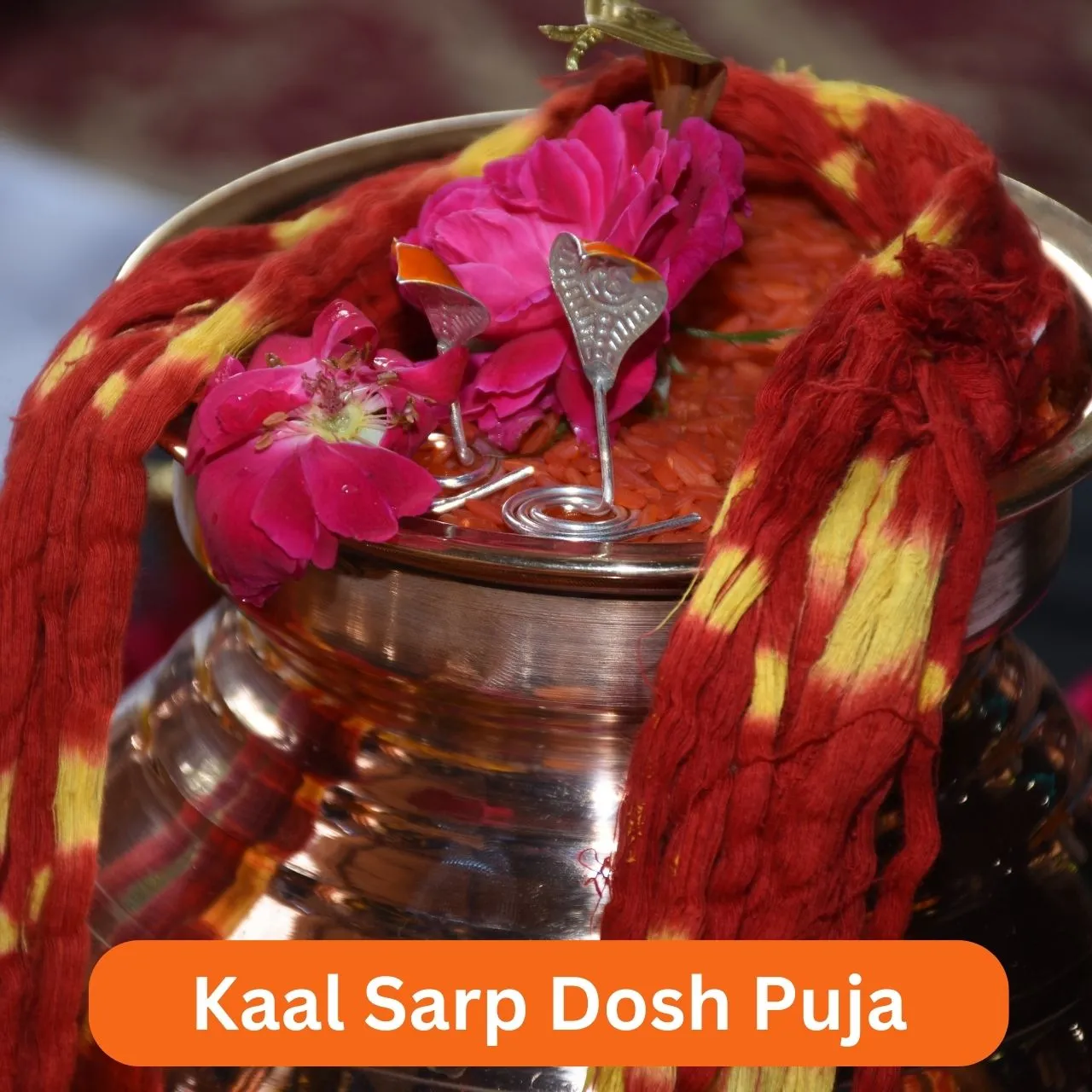 काल सर्प दोष पूजा